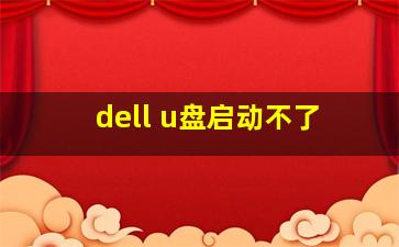 dell u盘启动不了